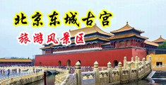 少妇粉嫩小泬喷水爽文中国北京-东城古宫旅游风景区
